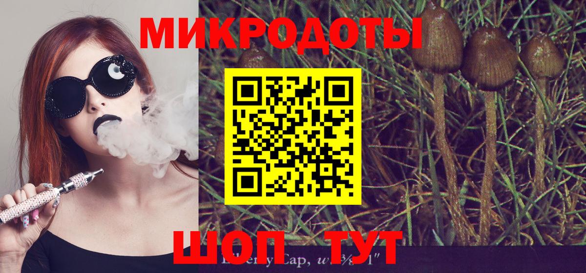 Галлюциногенные грибы MAGIC MUSHROOMS Жигулёвск